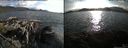 ./images/rivers-inlet/ethel/20150807/ethel20150807_185501.jpg