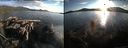 ./images/rivers-inlet/ethel/20150809/ethel20150809_195501.jpg