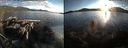 ./images/rivers-inlet/ethel/20150809/ethel20150809_200502.jpg