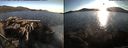./images/rivers-inlet/ethel/20150810/ethel20150810_195001.jpg