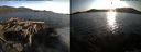 ./images/rivers-inlet/ethel/20150813/ethel20150813_193503.jpg