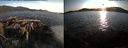 ./images/rivers-inlet/ethel/20150813/ethel20150813_195001.jpg
