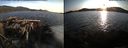 ./images/rivers-inlet/ethel/20150813/ethel20150813_195502.jpg