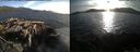 ./images/rivers-inlet/ethel/20150815/ethel20150815_192002.jpg