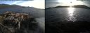 ./images/rivers-inlet/ethel/20150815/ethel20150815_193502.jpg
