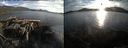 ./images/rivers-inlet/ethel/20150817/ethel20150817_194003.jpg