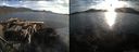 ./images/rivers-inlet/ethel/20150817/ethel20150817_194503.jpg