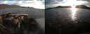 ./images/rivers-inlet/ethel/20150817/ethel20150817_200503.jpg