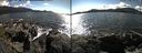 ./images/rivers-inlet/ethel/20150903/ethel20150903_160502.jpg