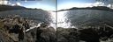 ./images/rivers-inlet/ethel/20150903/ethel20150903_161003.jpg