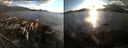 ./images/rivers-inlet/ethel/20150913/ethel20150913_190502.jpg