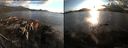 ./images/rivers-inlet/ethel/20150913/ethel20150913_191002.jpg