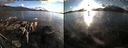 ./images/rivers-inlet/ethel/20150920/ethel20150920_183501.jpg