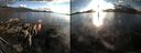 ./images/rivers-inlet/ethel/20150920/ethel20150920_184002.jpg
