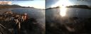 ./images/rivers-inlet/ethel/20150927/ethel20150927_184003.jpg