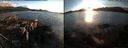 ./images/rivers-inlet/ethel/20150927/ethel20150927_184502.jpg