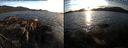 ./images/rivers-inlet/ethel/20150928/ethel20150928_184003.jpg