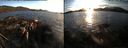 ./images/rivers-inlet/ethel/20150928/ethel20150928_185003.jpg