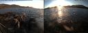 ./images/rivers-inlet/ethel/20151003/ethel20151003_183502.jpg