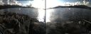 ./images/rivers-inlet/ethel/20151023/ethel20151023_155502.jpg