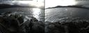 ./images/rivers-inlet/ethel/20151113/ethel20151113_142503.jpg