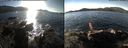 ./images/rivers-inlet/ethel/20151126/ethel20151126_122503.jpg