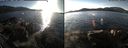 ./images/rivers-inlet/ethel/20151126/ethel20151126_135503.jpg