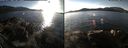 ./images/rivers-inlet/ethel/20151126/ethel20151126_140502.jpg