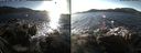 ./images/rivers-inlet/ethel/20151127/ethel20151127_141501.jpg