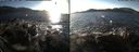 ./images/rivers-inlet/ethel/20151127/ethel20151127_142003.jpg
