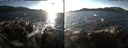 ./images/rivers-inlet/ethel/20151127/ethel20151127_143003.jpg