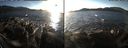 ./images/rivers-inlet/ethel/20151127/ethel20151127_145002.jpg