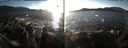 ./images/rivers-inlet/ethel/20151127/ethel20151127_150003.jpg