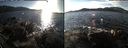 ./images/rivers-inlet/ethel/20151128/ethel20151128_135502.jpg