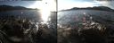 ./images/rivers-inlet/ethel/20151128/ethel20151128_142503.jpg