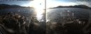 ./images/rivers-inlet/ethel/20151128/ethel20151128_145503.jpg