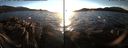 ./images/rivers-inlet/ethel/20151128/ethel20151128_155503.jpg