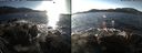 ./images/rivers-inlet/ethel/20151129/ethel20151129_140503.jpg