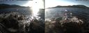 ./images/rivers-inlet/ethel/20151129/ethel20151129_142501.jpg