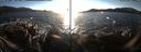 ./images/rivers-inlet/ethel/20151129/ethel20151129_153002.jpg
