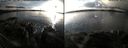 ./images/rivers-inlet/ethel/20151215/ethel20151215_145956.jpg