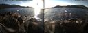 ./images/rivers-inlet/ethel/20151230/ethel20151230_145956.jpg