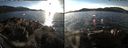 ./images/rivers-inlet/ethel/20160101/ethel20160101_142956.jpg
