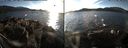 ./images/rivers-inlet/ethel/20160105/ethel20160105_145956.jpg