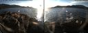 ./images/rivers-inlet/ethel/20160105/ethel20160105_152956.jpg