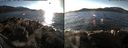./images/rivers-inlet/ethel/20160107/ethel20160107_142956.jpg