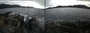 ./images/rivers-inlet/ethel/20160225/ethel20160225_154027.jpg