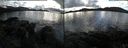 ./images/rivers-inlet/ethel/20160226/ethel20160226_160527.jpg
