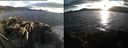 ./images/rivers-inlet/ethel/20160427/ethel20160427_195459.jpg