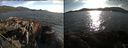 ./images/rivers-inlet/ethel/20160501/ethel20160501_183959.jpg